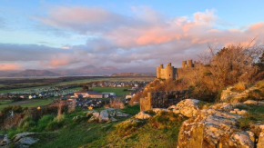 Y Branwen Restaurant & Rooms - Adult Only and Dog Friendly